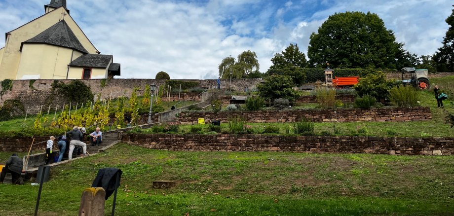 Säulengarten in Igel